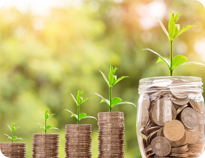 Invertir es como plantar una semilla